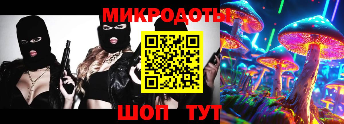 Псилоцибиновые грибы Psilocybe Усть-Илимск