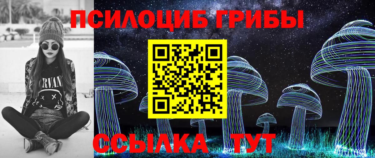 Псилоцибиновые грибы Psilocybe  Вход с VPN  Усть-Илимск  Псилоцибиновые грибы мицелий 